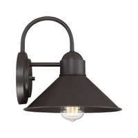 1-Light Outdoor Wall Lantern