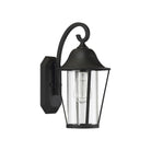 Meridian - 1-Light Outdoor Wall Lantern - Lights Canada