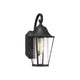 Meridian - 1-Light Outdoor Wall Lantern - Lights Canada