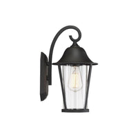 1-Light Outdoor Wall Lantern