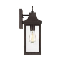 1-Light Outdoor Wall Lantern