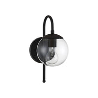 1-Light Outdoor Wall Lantern