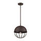 1-Light Outdoor Hanging Lantern