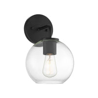 1-Light Outdoor Wall Lantern