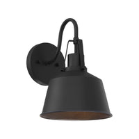 1-Light Outdoor Wall Lantern