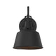 Meridian - 1-Light Outdoor Wall Lantern - Lights Canada