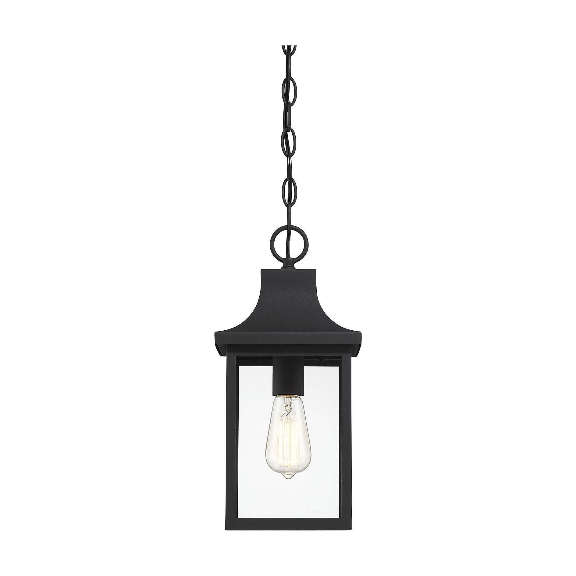 Meridian - 1-Light Outdoor Hanging Lantern - Lights Canada