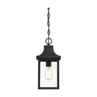Meridian - 1-Light Outdoor Hanging Lantern - Lights Canada