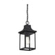 Meridian - 1-Light Outdoor Hanging Lantern - Lights Canada