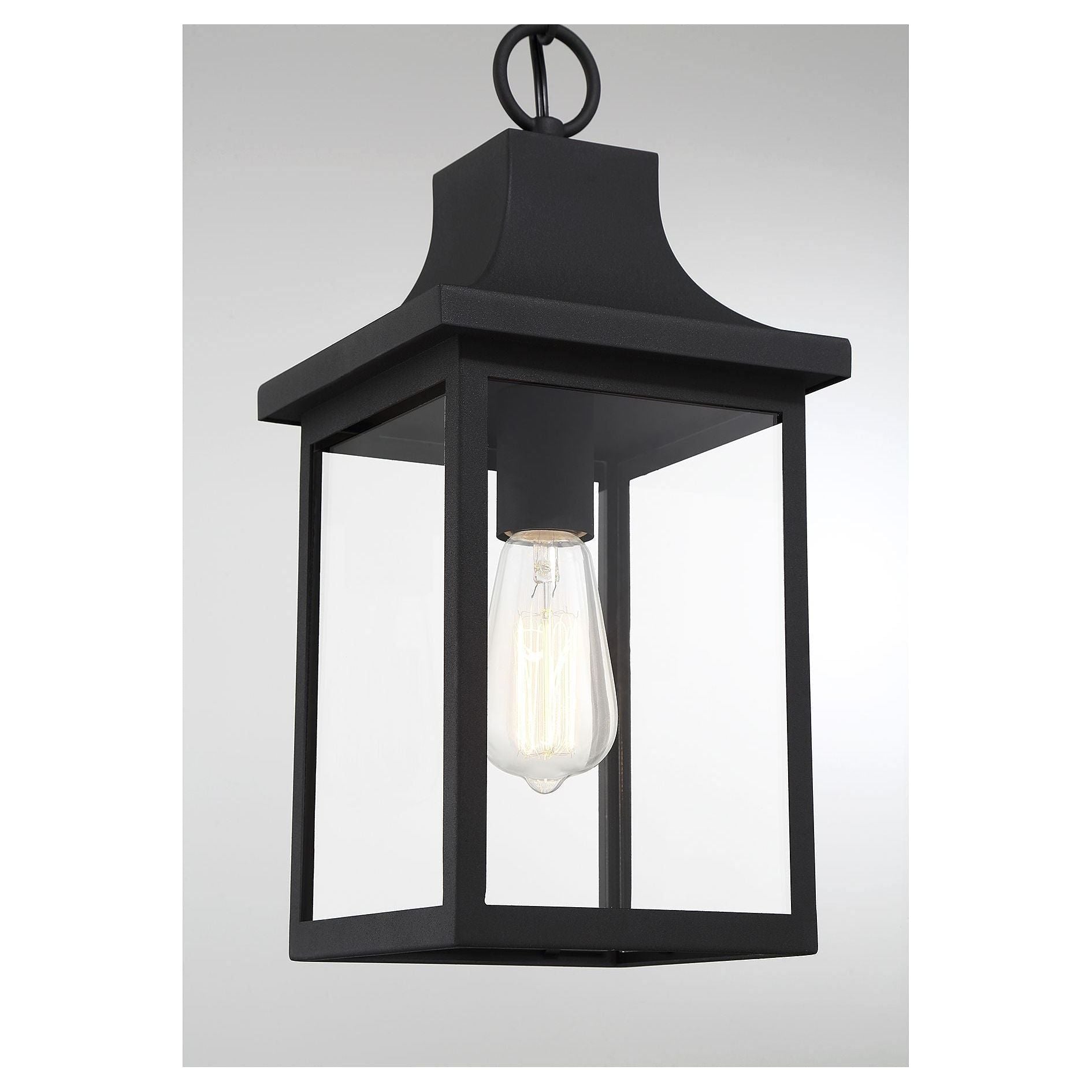 Meridian - 1-Light Outdoor Hanging Lantern - Lights Canada