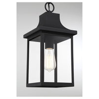 1-Light Outdoor Hanging Lantern