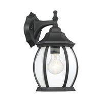 1-Light Outdoor Wall Lantern