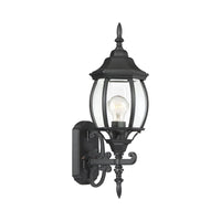 1-Light Outdoor Wall Lantern