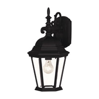 1-Light Outdoor Wall Lantern
