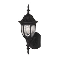 1-Light Outdoor Wall Lantern