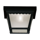 Meridian - 1-Light Outdoor Ceiling Light - Lights Canada