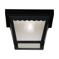 1-Light Outdoor Ceiling Light
