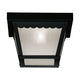Meridian - 1-Light Outdoor Ceiling Light - Lights Canada