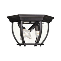 3-Light Outdoor Ceiling Light