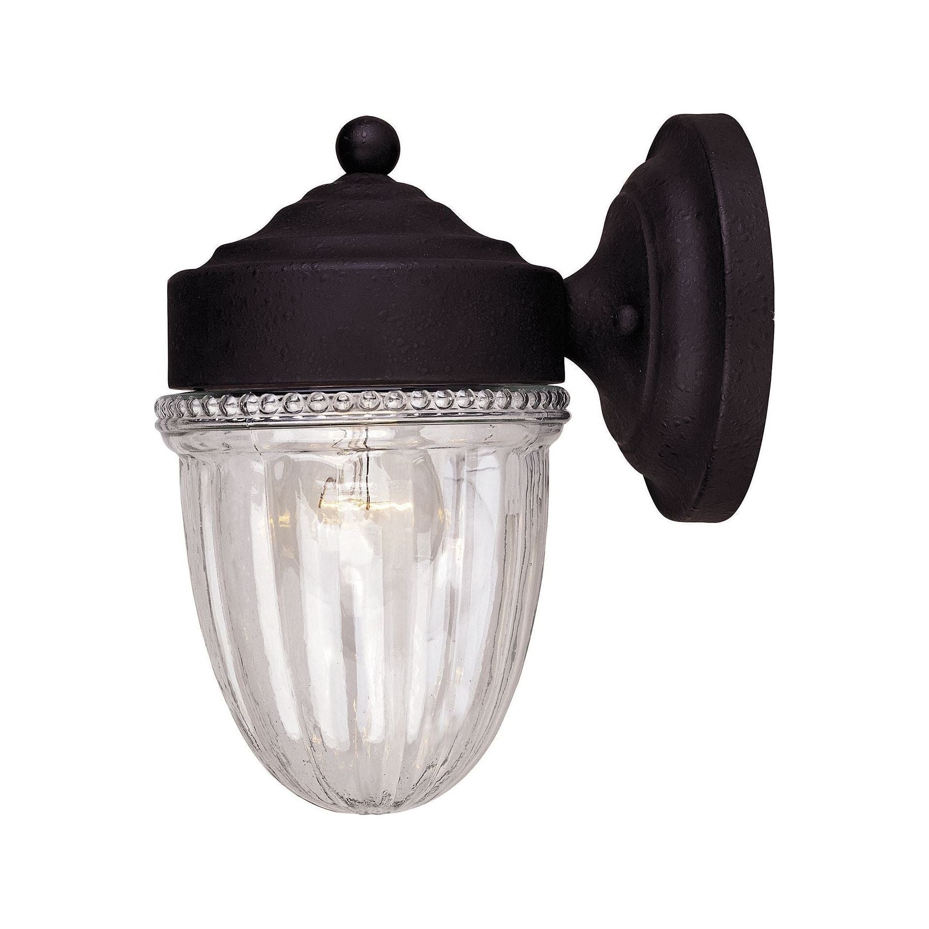 Meridian - 1-Light Outdoor Wall Lantern - Lights Canada