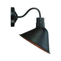 1-Light Outdoor Wall Lantern