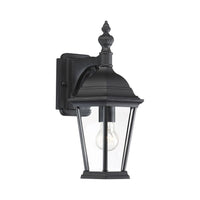 1-Light Outdoor Wall Lantern