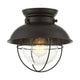 Meridian - 1-Light Ceiling Light - Lights Canada