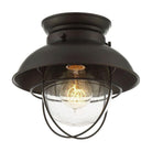 Meridian - 1-Light Ceiling Light - Lights Canada