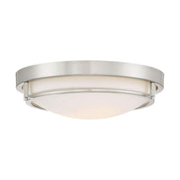 2-Light Ceiling Light