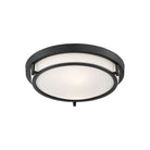 Meridian - 2-Light Ceiling Light - Lights Canada