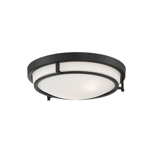 Meridian - 2-Light Ceiling Light - Lights Canada