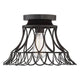 1-Light Ceiling Light