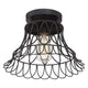 1-Light Ceiling Light