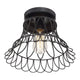 1-Light Ceiling Light