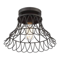 1-Light Ceiling Light