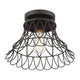 1-Light Ceiling Light