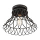 1-Light Ceiling Light