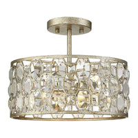 2-Light Ceiling Light