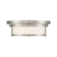 2-Light Ceiling Light