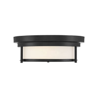 2-Light Ceiling Light