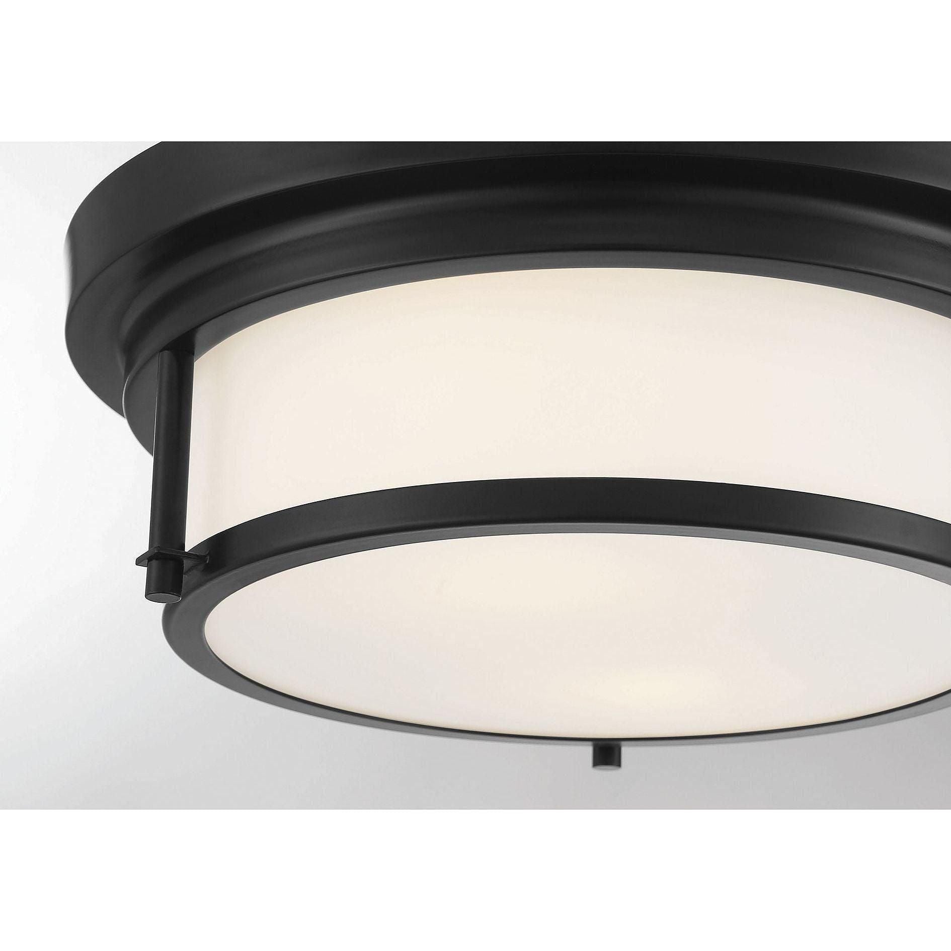 Meridian - 2-Light Ceiling Light - Lights Canada