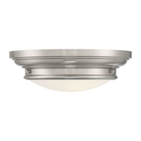 2-Light Ceiling Light