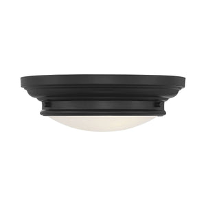 Meridian - 2-Light Ceiling Light - Lights Canada