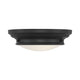 Meridian - 2-Light Ceiling Light - Lights Canada