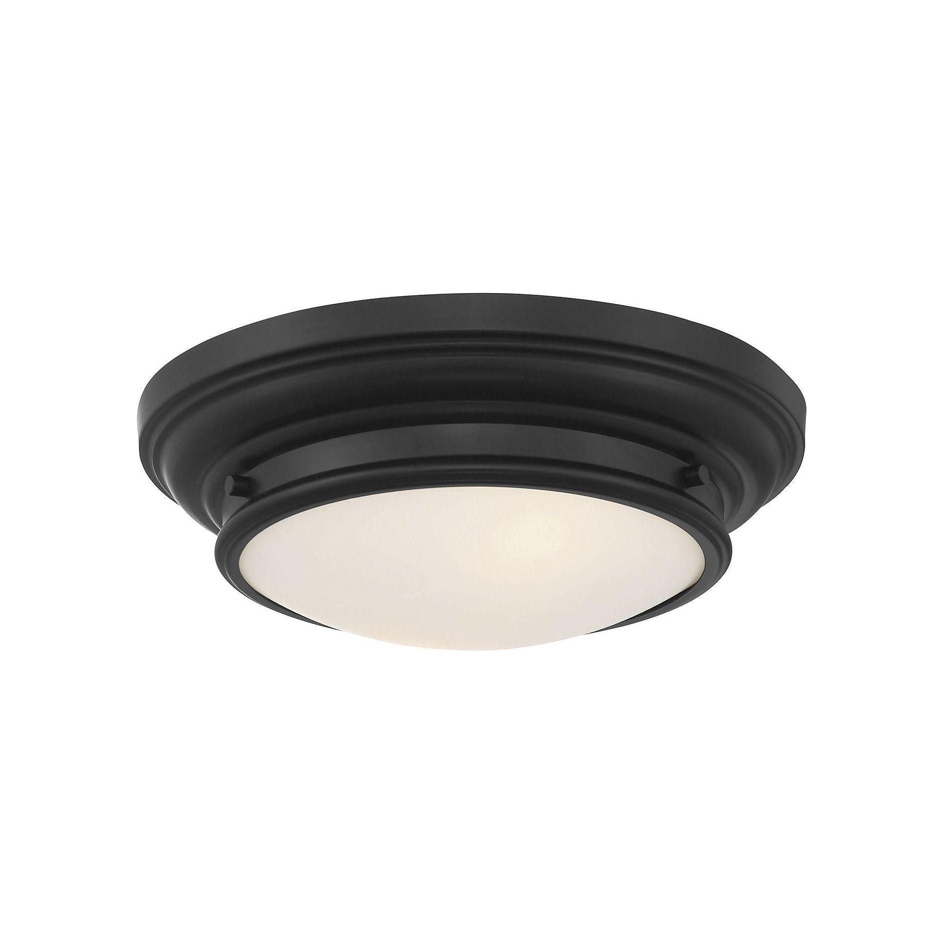 Meridian - 2-Light Ceiling Light - Lights Canada