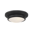 Meridian - 2-Light Ceiling Light - Lights Canada