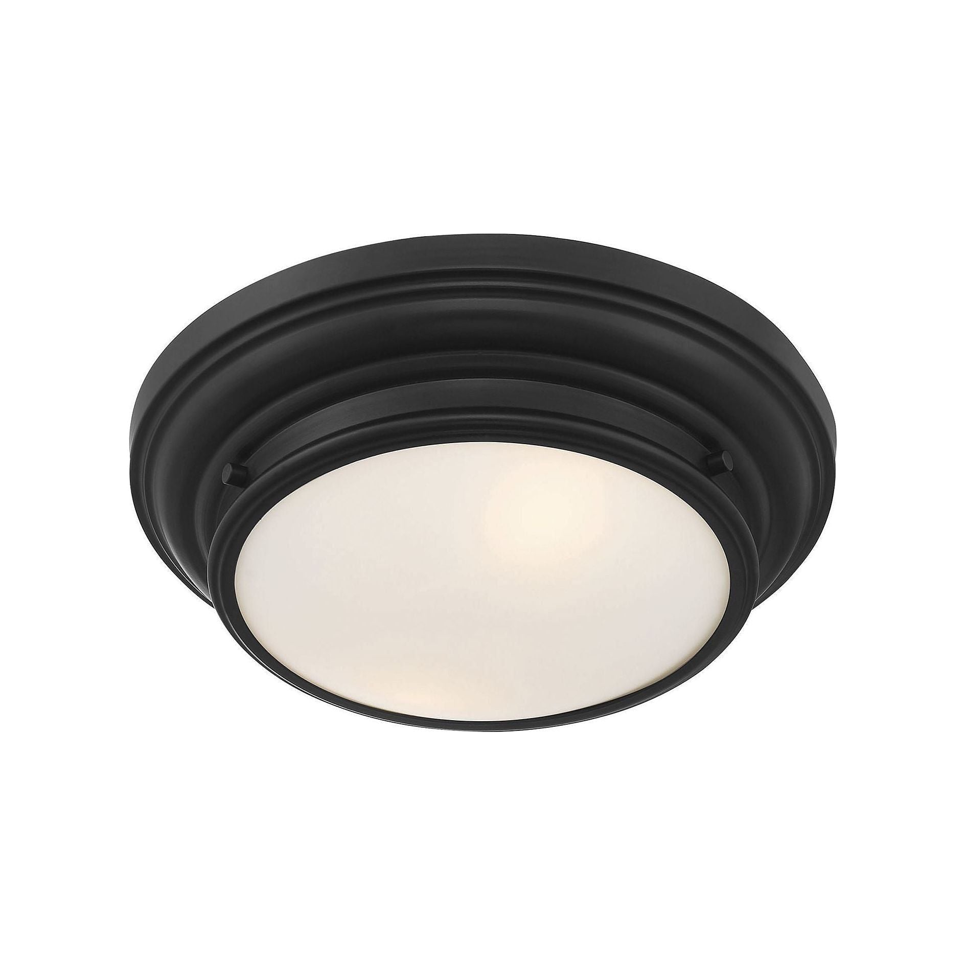 Meridian - 2-Light Ceiling Light - Lights Canada