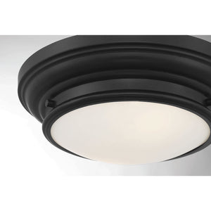 Meridian - 2-Light Ceiling Light - Lights Canada