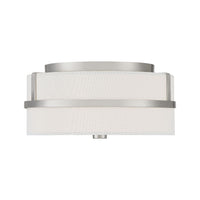 2-Light Ceiling Light