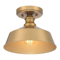 1-Light Ceiling Light